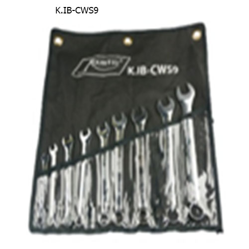 Bộ cờ lê tròng 9 chi tiết (8-21)