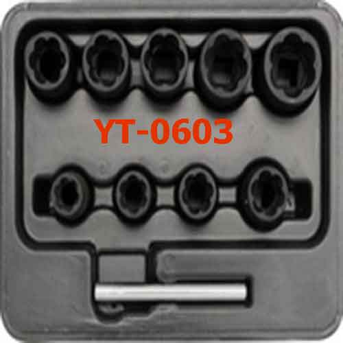 Bộ khẩu nhổ ốc bulông hỏng 10 chi tiết 3/8