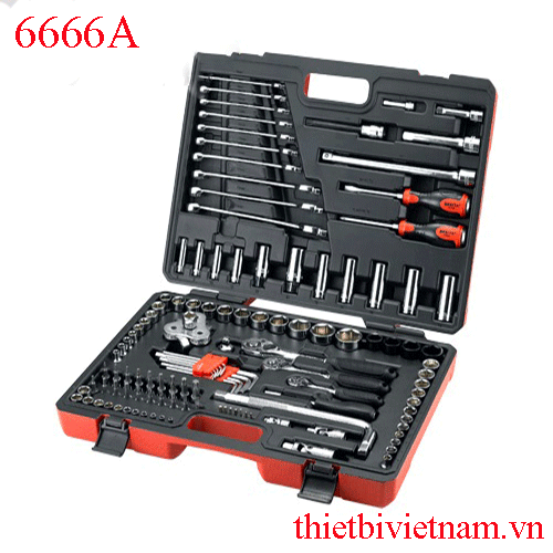 Bộ khẩu tay vặn tổng hợp 120 chi tiết BESITA 6666A