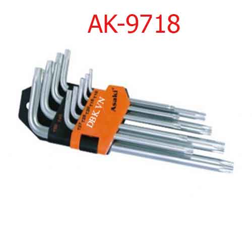 Bộ lục giác bi xi bóng AK-9718