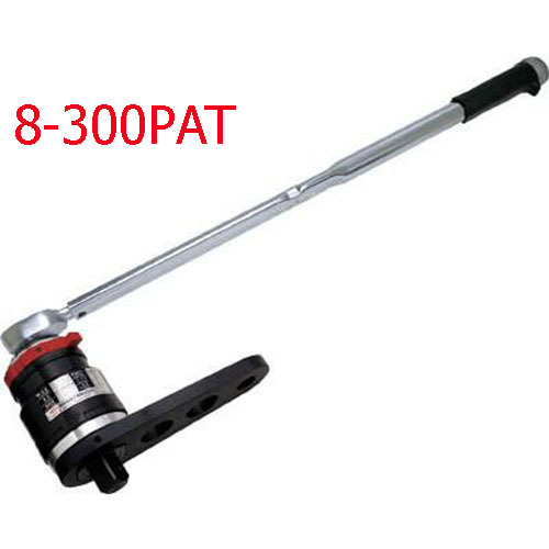 Bộ nhân lực + kèm cà lê lực cỡ lớn lắp khẩu 1