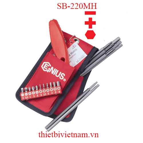 BỘ TAY VẶN VÀ ĐẦU TUỐC NƠ VÍT ĐẦU LỤC GIÁC ĐẦU 2 VÀ 4 CẠNH 20 CHIẾC SB-220MH