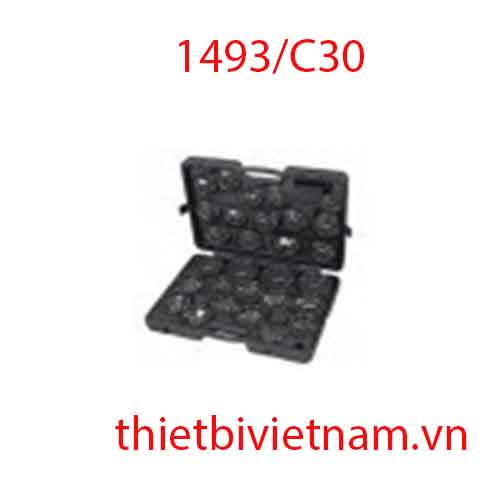 Bộ vam tháo lọc dầu dạng bát chụp 1/2 inch 28 chi tiết BETA 1493/C30