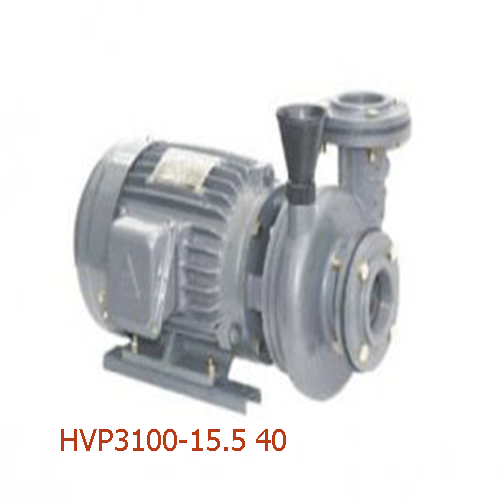 Bơm ly tâm dạng xoáy đầu gang HVP3100-15.5 40