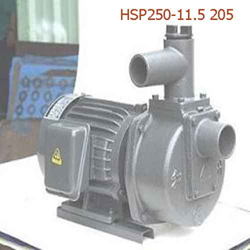 Bơm tự hút đầu gang HSP250-11.5 205