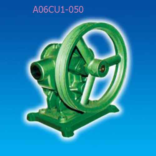Buly trợ bơm đầu gang phốt amiăng  A06CU1-050