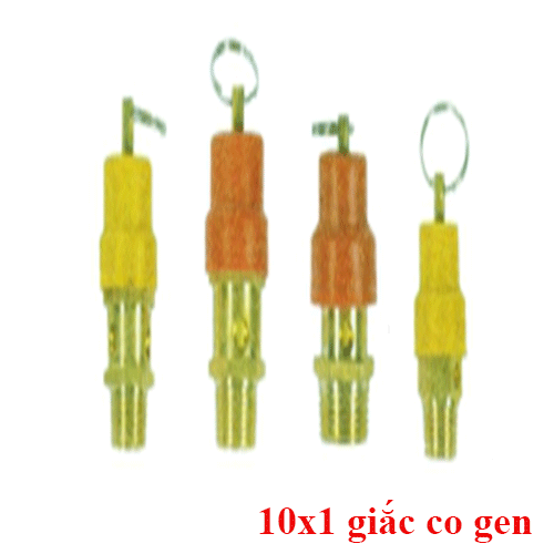 Cụm van 1 chiều/ an toàn - 10x1 giắc co gen