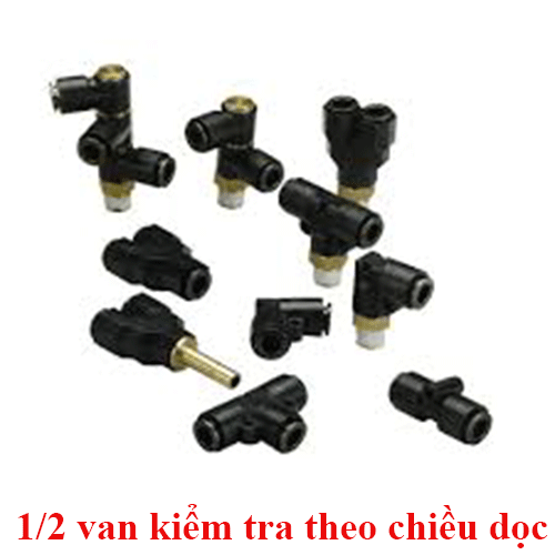 Cụm van 1 chiều/ an toàn - 1/2 van kiểm tra theo chiều dọc