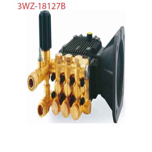 ĐẦU BƠM LUTIAN 3.0KW MODEL: 3WZ-18127B