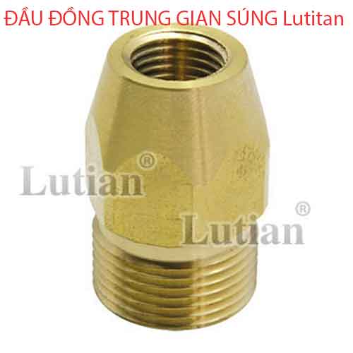 ĐẦU ĐỒNG TRUNG GIAN SÚNG Lutitan
