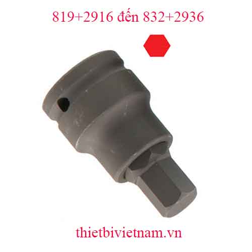 ĐẦU KHẨU 1 INCH ĐẦU VÍT LỤC GIÁC HỆ MÉT HÃNG GENIUS MODEL 819+2916 đến 832+2936