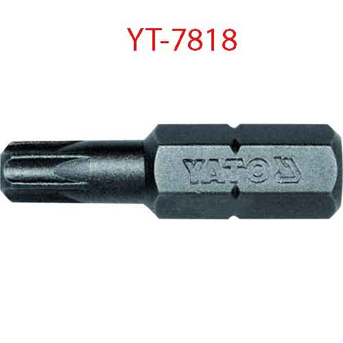 Đầu mũi vít sao nổi 1/4