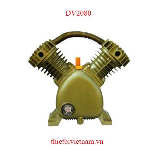 Đầu nén khí hãng PEGASUS DV2080