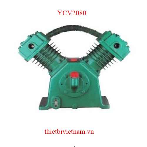 Đầu nén khí hãng PEGASUS YCV2080