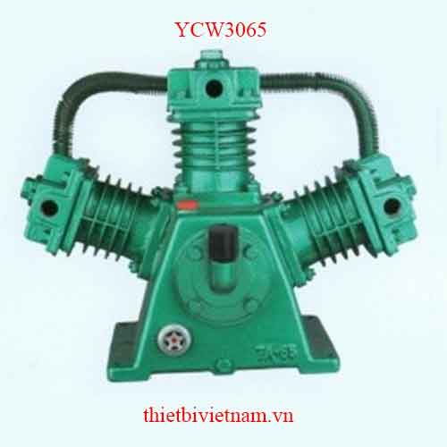 Đầu nén khí hãng PEGASUS YCW3065
