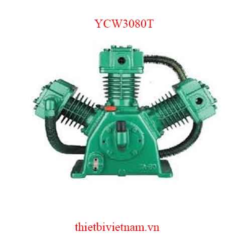 Đầu nén khí hãng PEGASUS YCW3080T