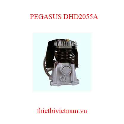 Đầu nén khí PEGASUS DHD2055A