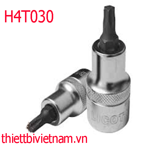 Đầu típ LICOTA 1/2 Bông mai T30 H4T030