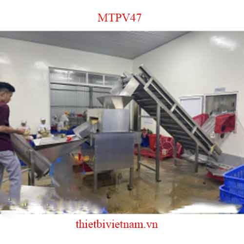 Dây chuyền máy bóc vỏ, máy tách dịch chanh dây (leo) tự động MTPV47
