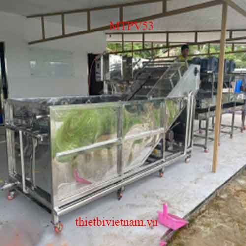 Dây chuyền máy rửa trái nhàu sục khí tích hợp ozone và băng tải thổi khô quả bằng khí nóng MTPV53