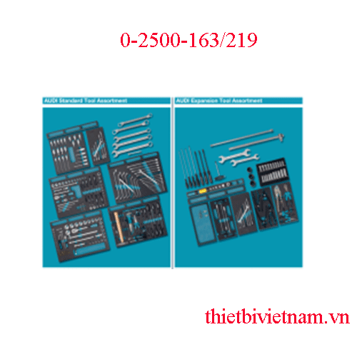 Dụng cụ tiêu chuẩn cho Audi hãng Hazet 0-2500-163/219