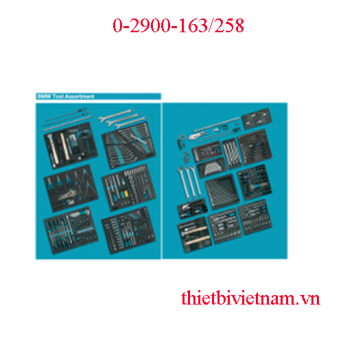 Dụng cụ tiêu chuẩn cho BMW hãng Hazet 0-2900-163/258