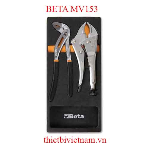 EMPTY SOFT THERMOFORMED BETA MODEL MV153
