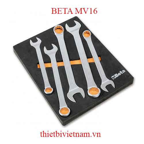 EMPTY SOFT THERMOFORMED BETA MODEL MV16