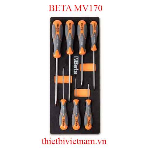 EMPTY SOFT THERMOFORMED BETA MODEL MV170
