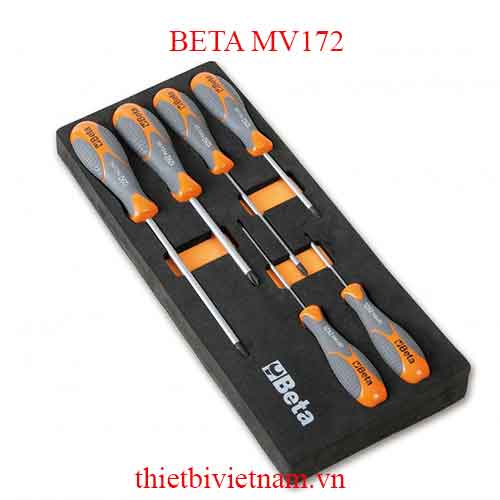 EMPTY SOFT THERMOFORMED BETA MODEL MV172