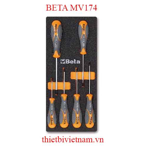 EMPTY SOFT THERMOFORMED BETA MODEL MV174