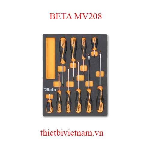 EMPTY SOFT THERMOFORMED BETA MODEL MV208