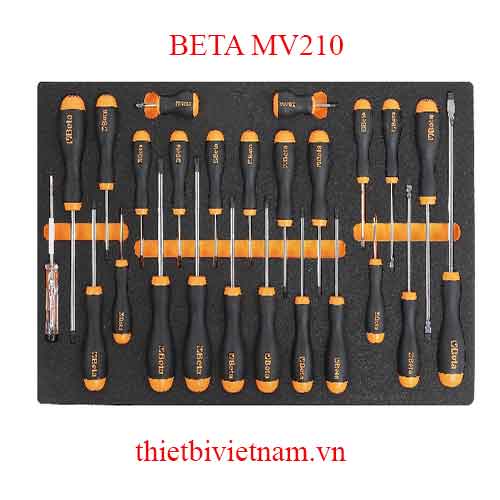 EMPTY SOFT THERMOFORMED BETA MODEL MV210