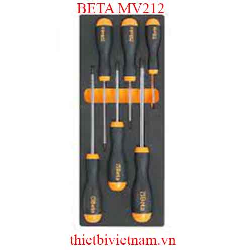 EMPTY SOFT THERMOFORMED BETA MODEL MV212