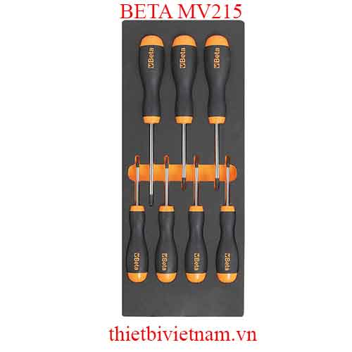 EMPTY SOFT THERMOFORMED BETA MODEL MV215