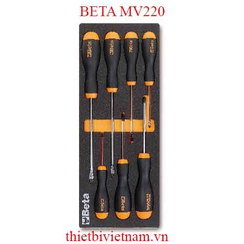 EMPTY SOFT THERMOFORMED BETA MODEL MV220