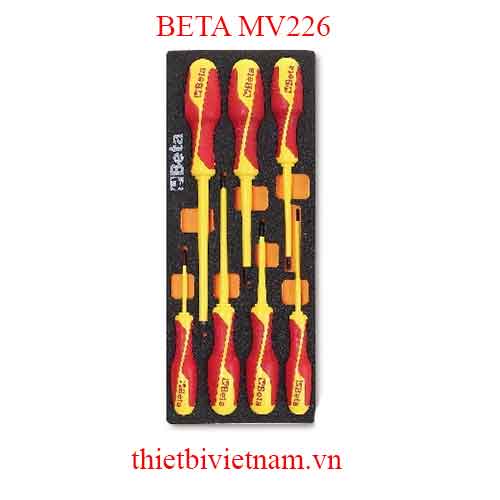 EMPTY SOFT THERMOFORMED BETA MODEL MV226