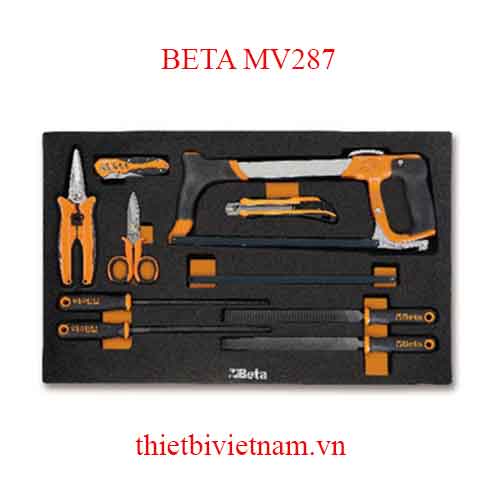 EMPTY SOFT THERMOFORMED BETA MODEL MV287