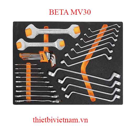 EMPTY SOFT THERMOFORMED BETA MODEL MV30