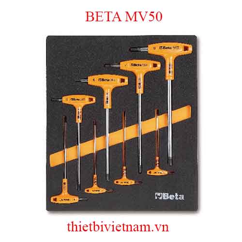 EMPTY SOFT THERMOFORMED BETA MODEL MV50