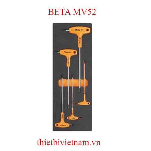 EMPTY SOFT THERMOFORMED BETA MODEL MV52