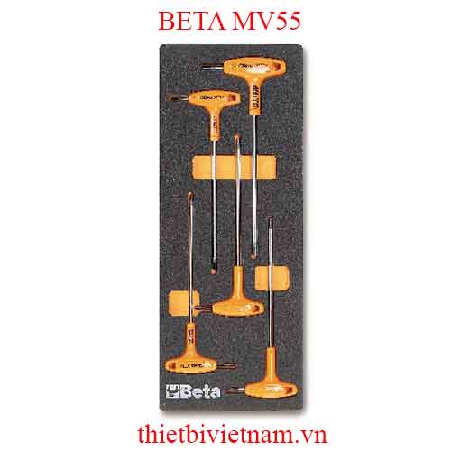 EMPTY SOFT THERMOFORMED BETA MODEL MV55