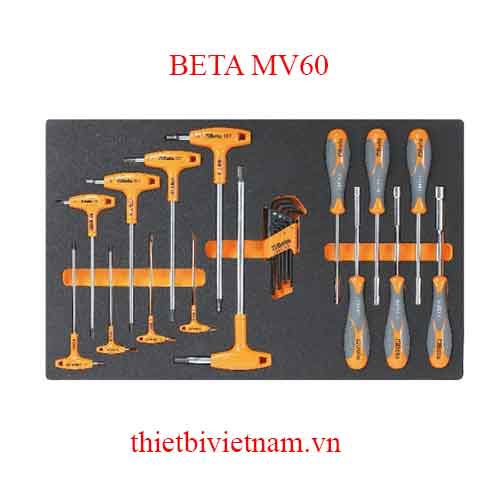 EMPTY SOFT THERMOFORMED BETA MODEL MV60