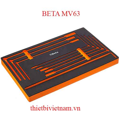 EMPTY SOFT THERMOFORMED BETA MODEL MV63