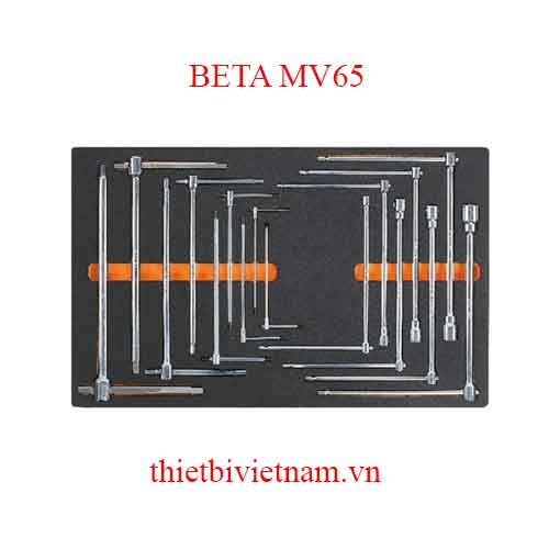 EMPTY SOFT THERMOFORMED BETA MODEL MV65