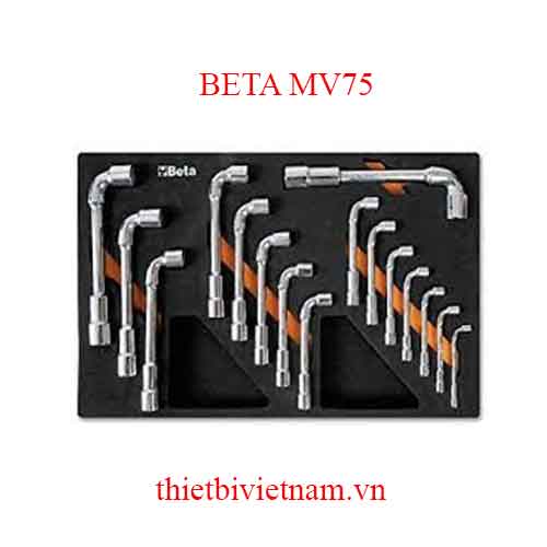 EMPTY SOFT THERMOFORMED BETA MODEL MV75