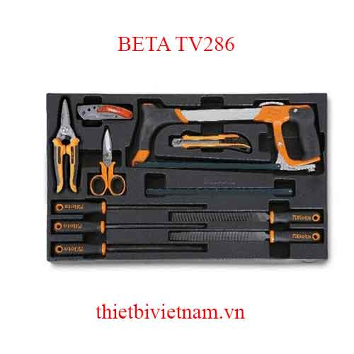 EMPTY THERMOFORMED 1 BETA MODEL TV286