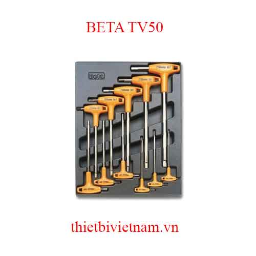 EMPTY THERMOFORMED 1/2 BETA MODEL TV50