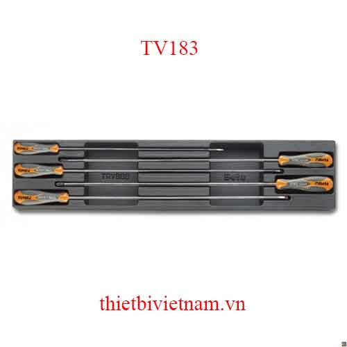 EMPTY THERMOFORMED 1/3L BETA MODEL TV183