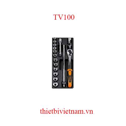 EMPTY THERMOFORMED 1/4 BETA MODEL TV100